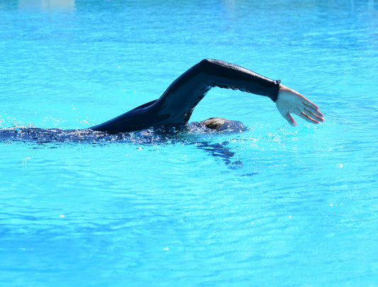 Kraultechnikkurs Erwachsene